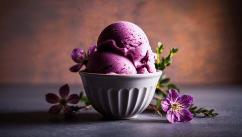 Vegan Elderberry Sorbet Recipe